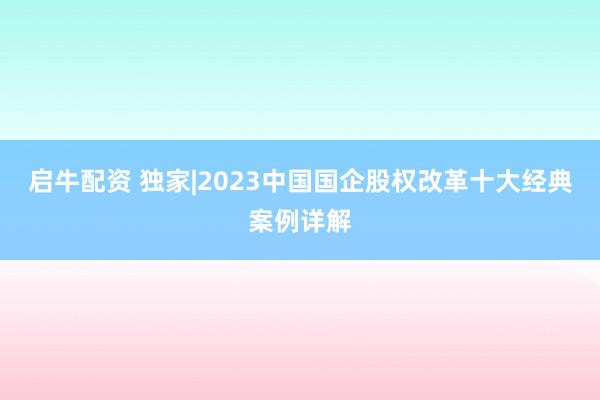 启牛配资 独家|2023中国国企股权改革十大经典案例详解