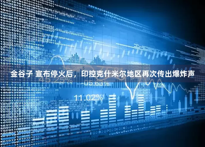 金谷子 宣布停火后，印控克什米尔地区再次传出爆炸声