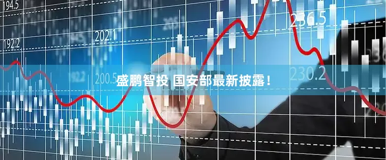 盛鹏智投 国安部最新披露！
