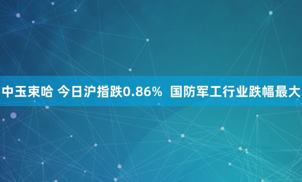 中玉束哈 今日沪指跌0.86%  国防军工行业跌幅最大