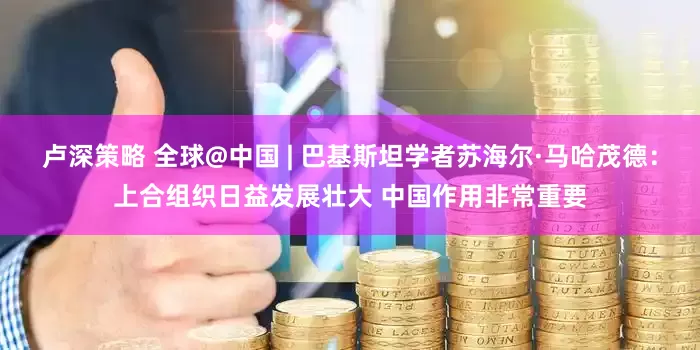 卢深策略 全球@中国 | 巴基斯坦学者苏海尔·马哈茂德：上合组织日益发展壮大 中国作用非常重要