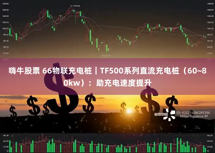 嗨牛股票 66物联充电桩｜TF500系列直流充电桩（60~80kw）：助充电速度提升