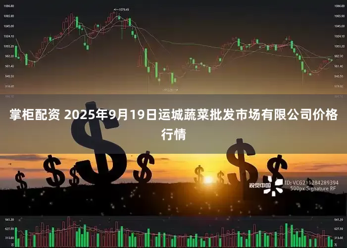 掌柜配资 2025年9月19日运城蔬菜批发市场有限公司价格行情