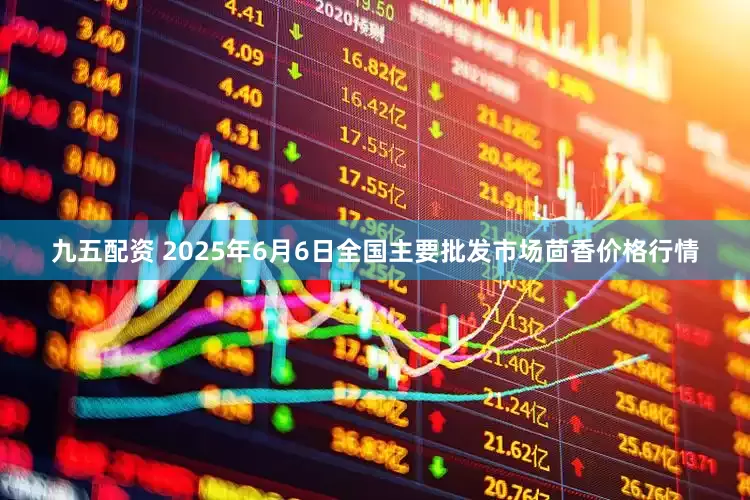 九五配资 2025年6月6日全国主要批发市场茴香价格行情