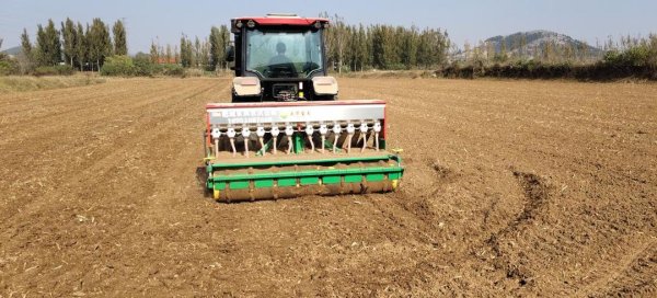 创赢策略 肥城：秋播秋种有“新招”