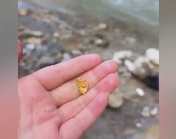 恒信期货 甘肃一河道多人凌晨淘金，法律允许吗？