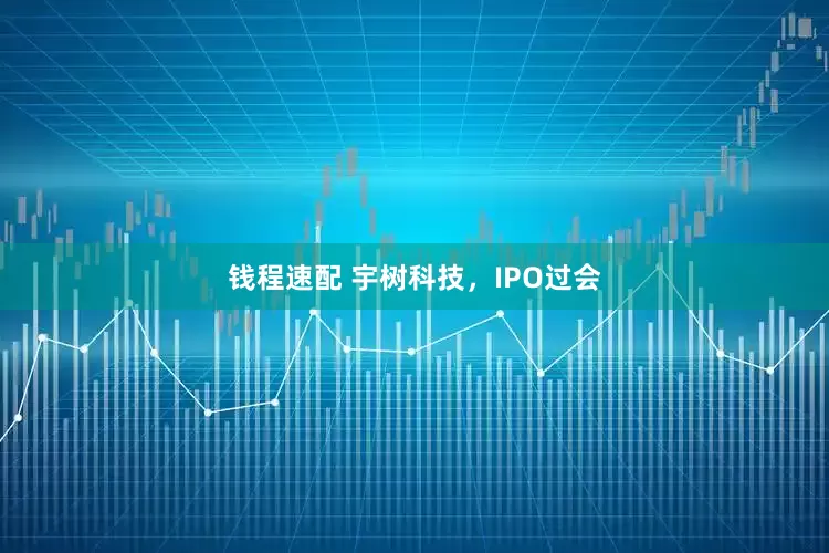 钱程速配 宇树科技，IPO过会